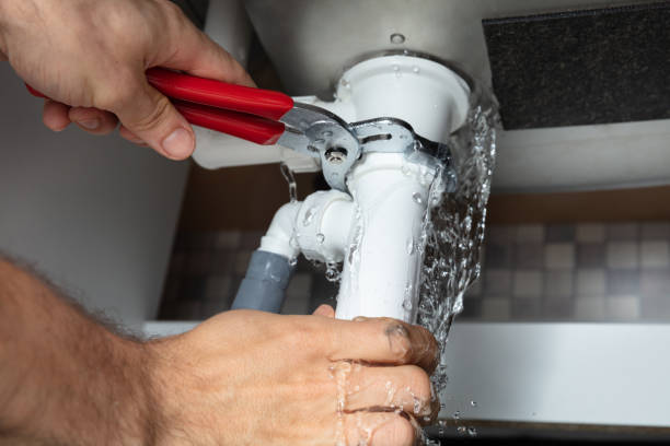 Best Local water damage restoration  in St George, SC