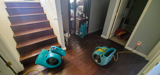 Best Sewage cleanup and water damage restoration  in St George, SC