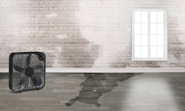  St George, SC Water damage restoration Pros