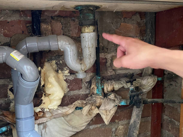 Best Flood damage cleanup  in St George, SC